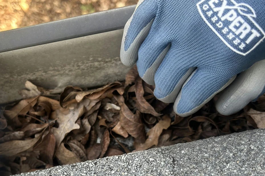 Gutter Cleaning Iowa