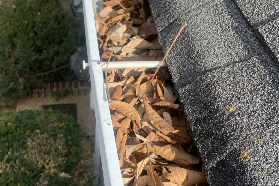 Gutter Cleaning Iowa