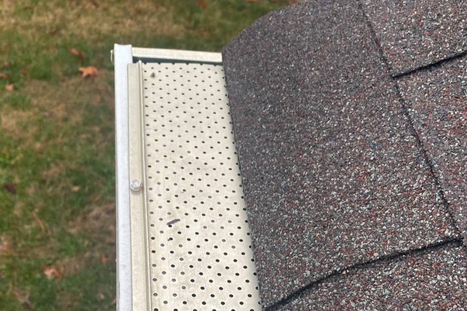 Gutter Cleaning Iowa