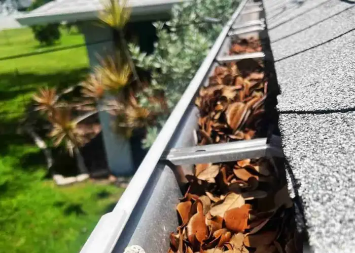 Gutter Cleaning Iowa home page